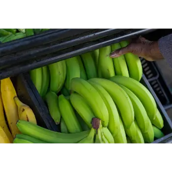 Green Banana (18)-3369353-76801.webp